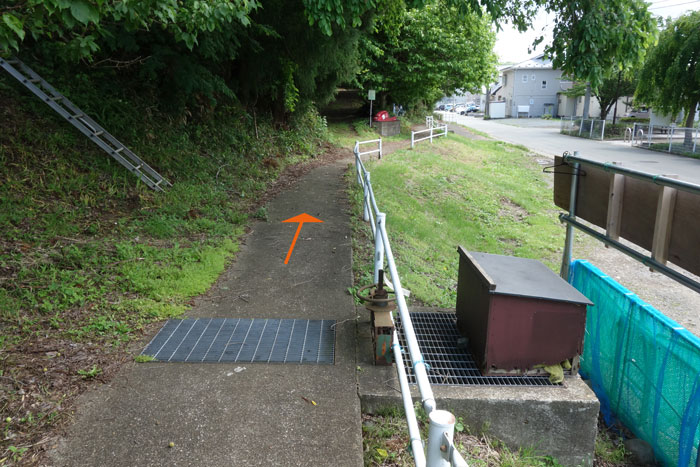 自然歩道