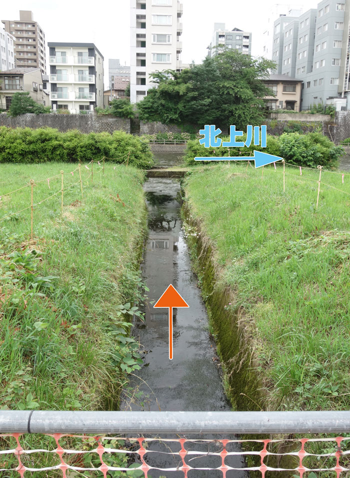 排水口