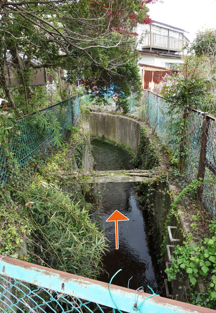 分岐い