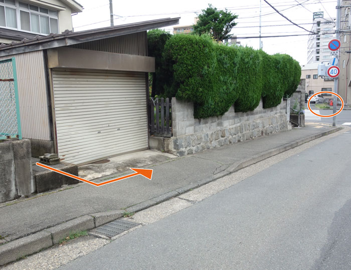 道路渡る
