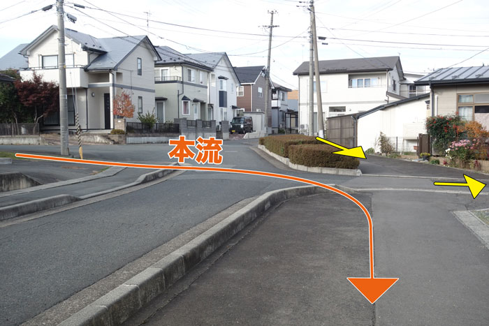 本流