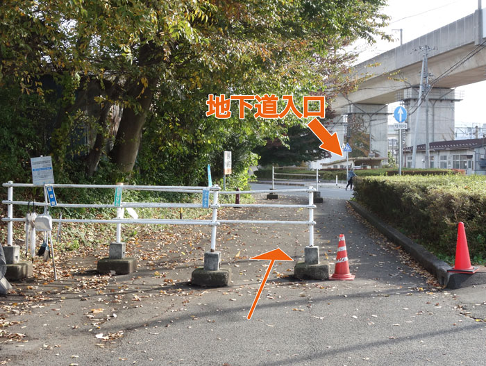 旧道とごみ集積場