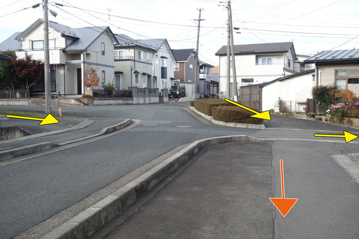 どっち？