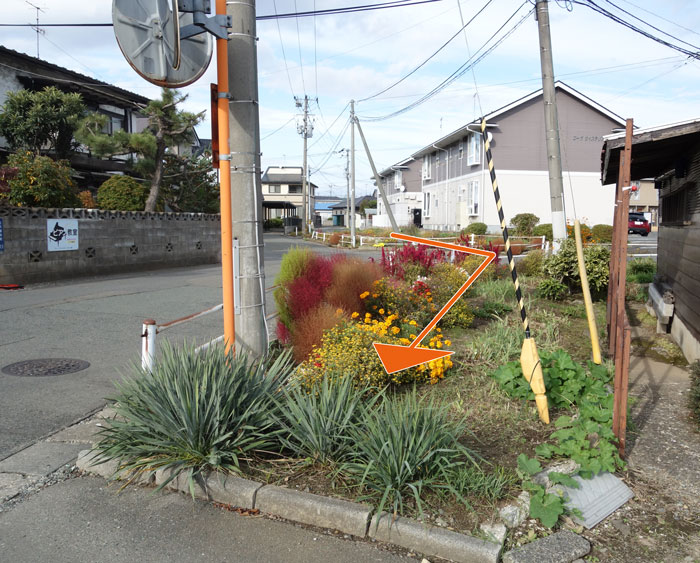怪しい花壇