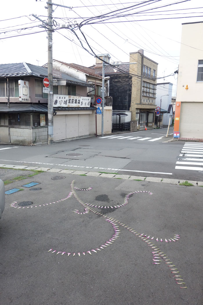 朝顔を並べてみた20230903