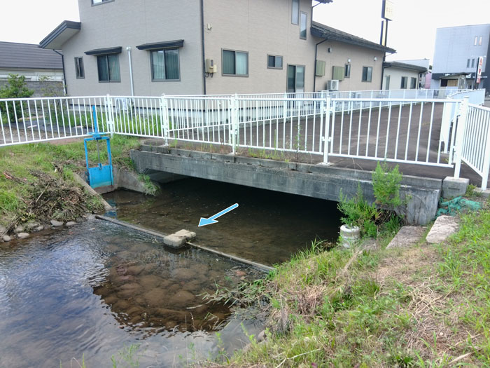 上層も暗渠