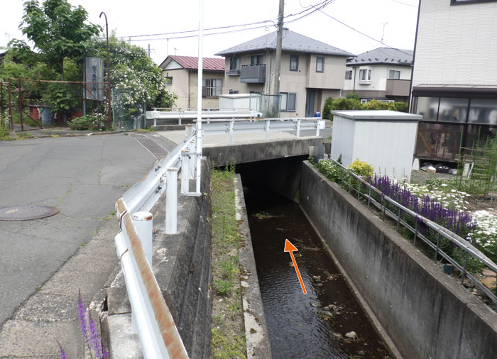 橋