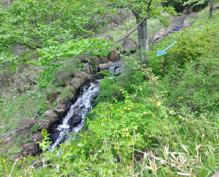 沢