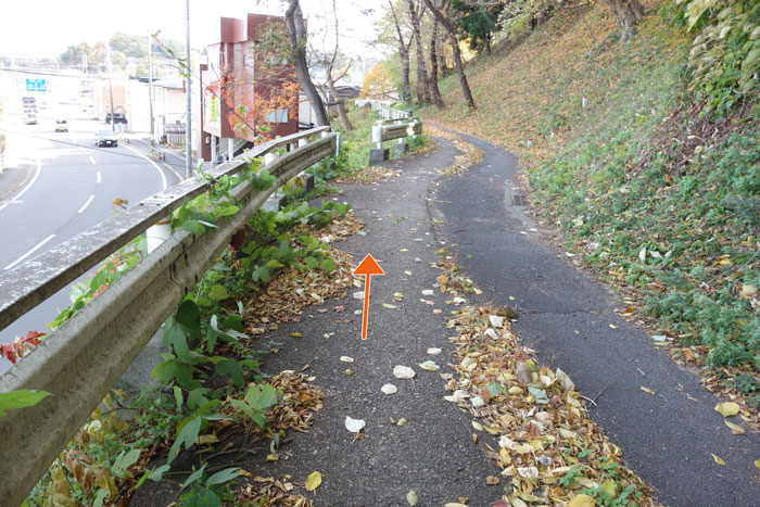 道路から高い