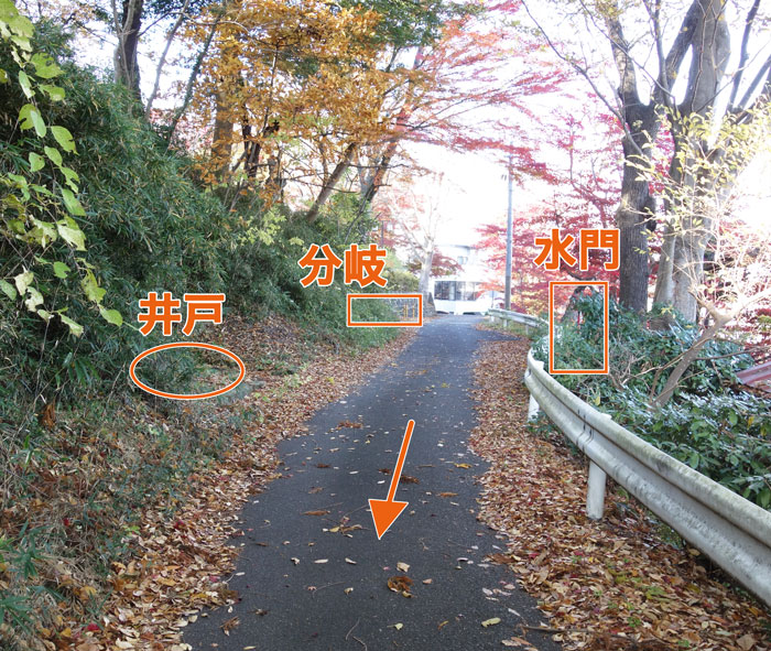 水の痕跡