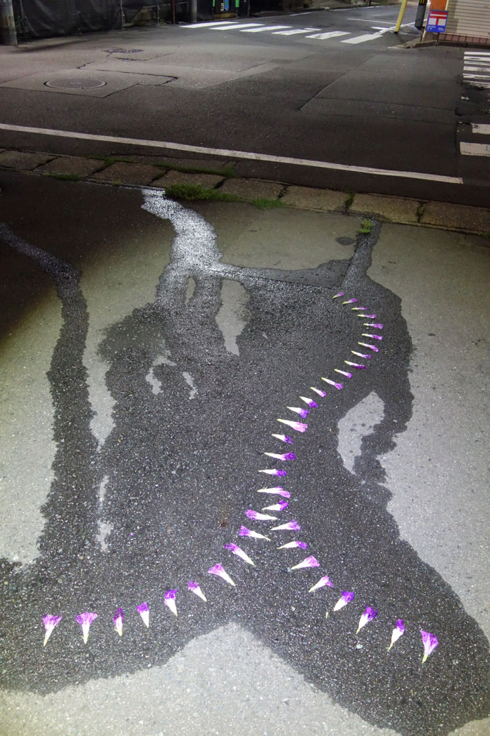 朝顔を並べてみた20250902