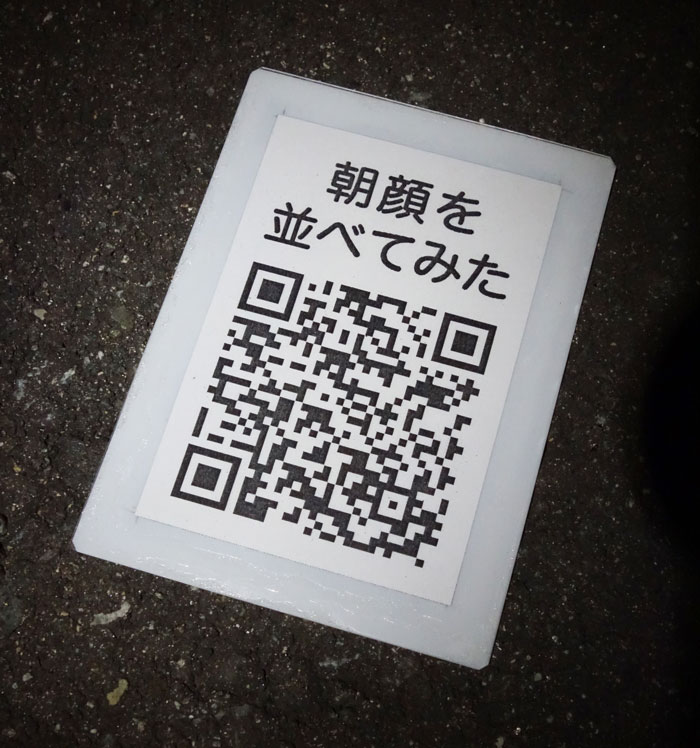 朝顔を並べてみたQR