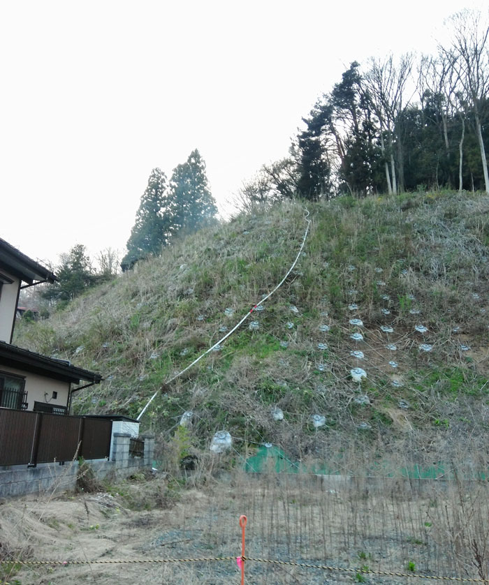 出動